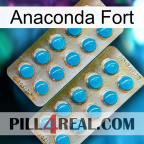 Anaconda Strong new08